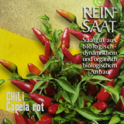chili capela rot - balconypeppers.ch